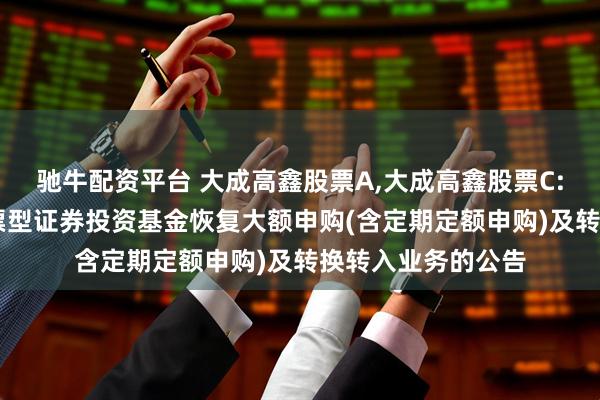 驰牛配资平台 大成高鑫股票A,大成高鑫股票C: 关于大成高鑫股票型证券投资基金恢复大额申购(含定期定额申购)及转换转入业务的公告