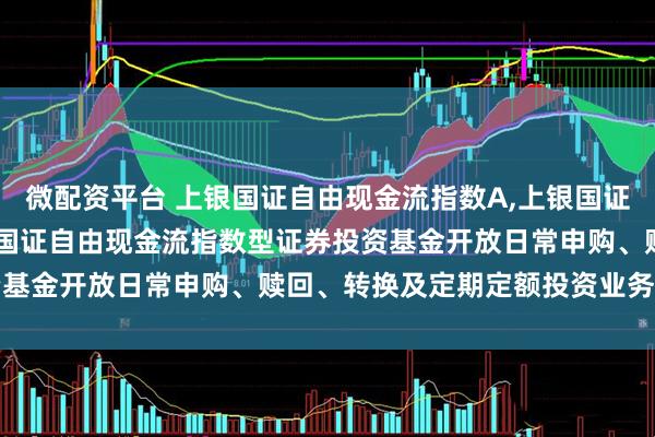微配资平台 上银国证自由现金流指数A,上银国证自由现金流指数C: 上银国证自由现金流指数型证券投资基金开放日常申购、赎回、转换及定期定额投资业务的公告