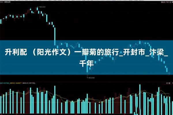 升利配 （阳光作文）一瓣菊的旅行_开封市_汴梁_千年